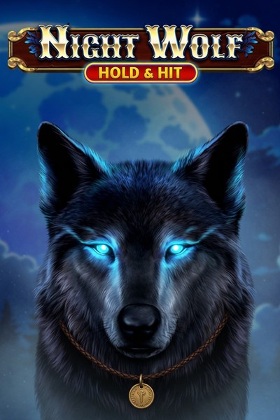 Slot Night Wolf - Hold & Hit su Casinova Casino